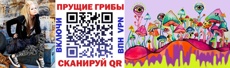 Псилоцибиновые грибы прущие грибы  Тында 