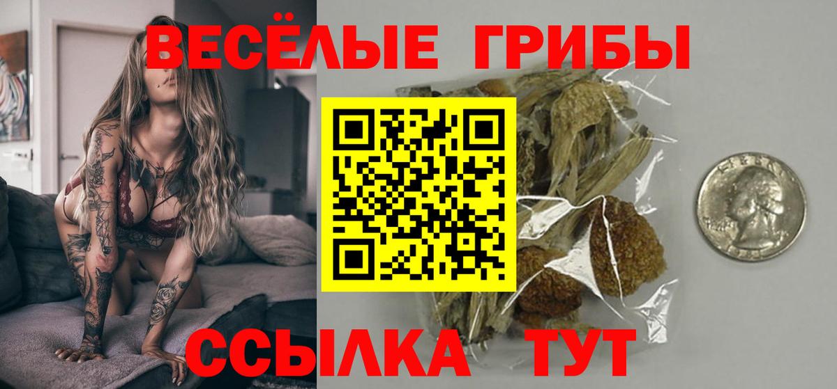 Тында  Галлюциногенные грибы Psilocybine cubensis  где купить   Вход с VPN  Псилоцибиновые грибы Magic Shrooms 